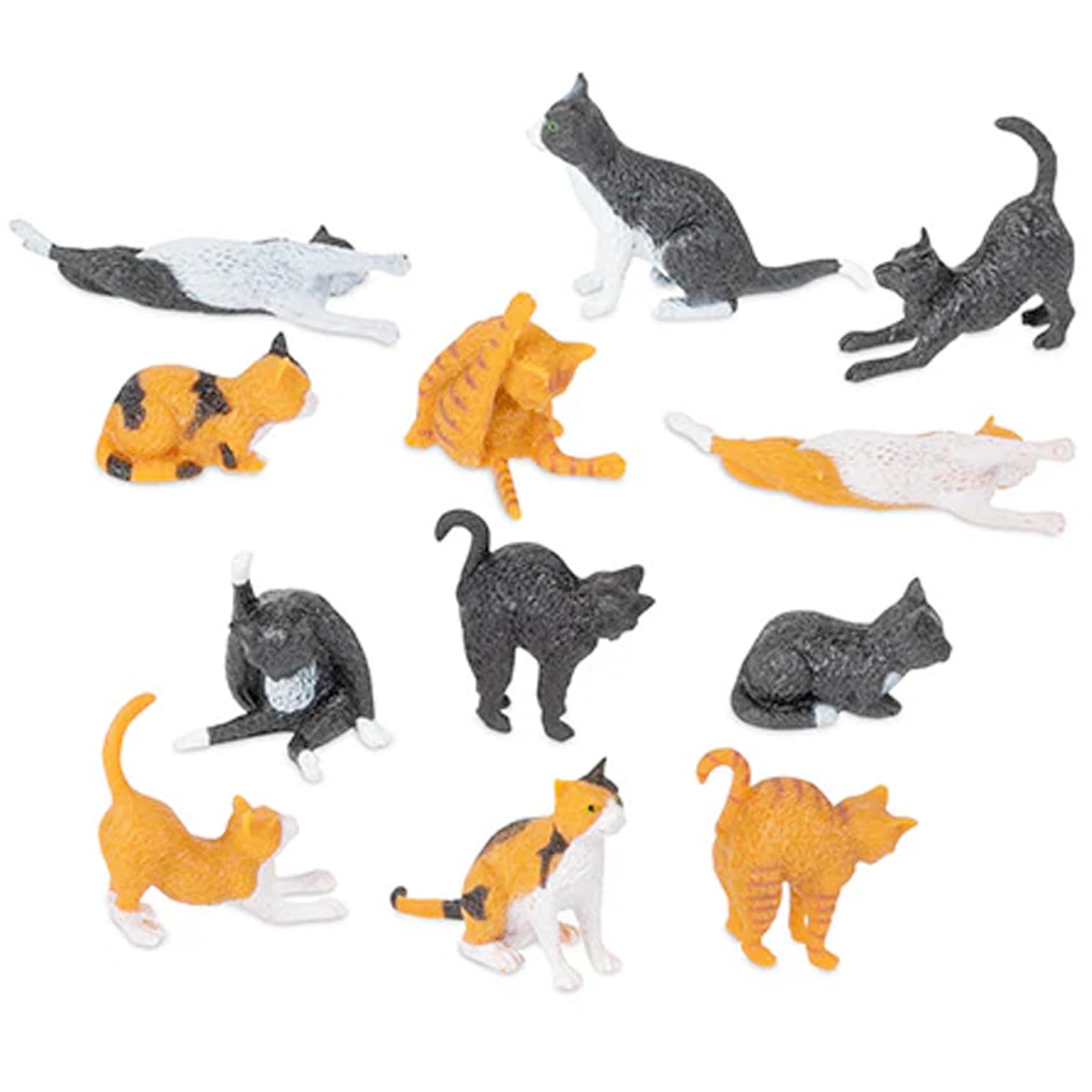 その他 Cats Amazon.com: Accoutrements Archie McPhee Itty Bitty Cats - Tiny